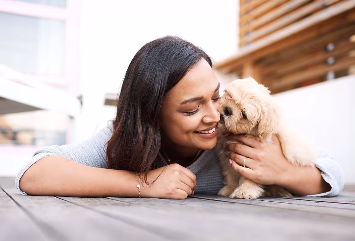 Assicurazione Cane